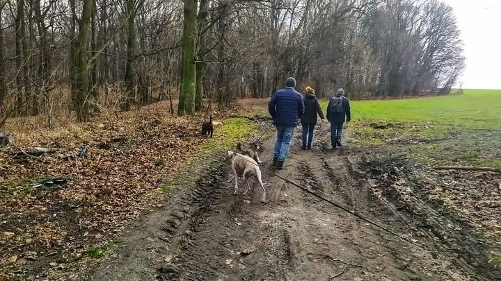 PoChodzenie #1/22 – spacer z historią