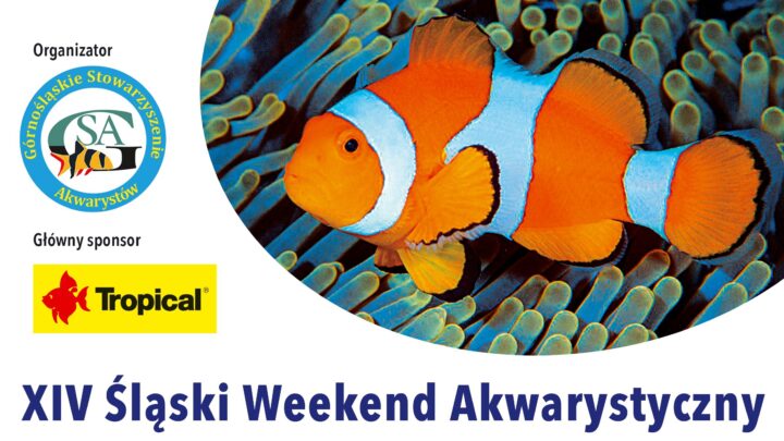 XIV Śląski Weekend Akwarystyczny